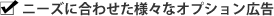 ニーズに合わせた様々なオプション広告